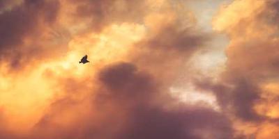 Quản lý & Vận hành