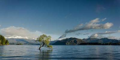 Quản lý & Vận hành